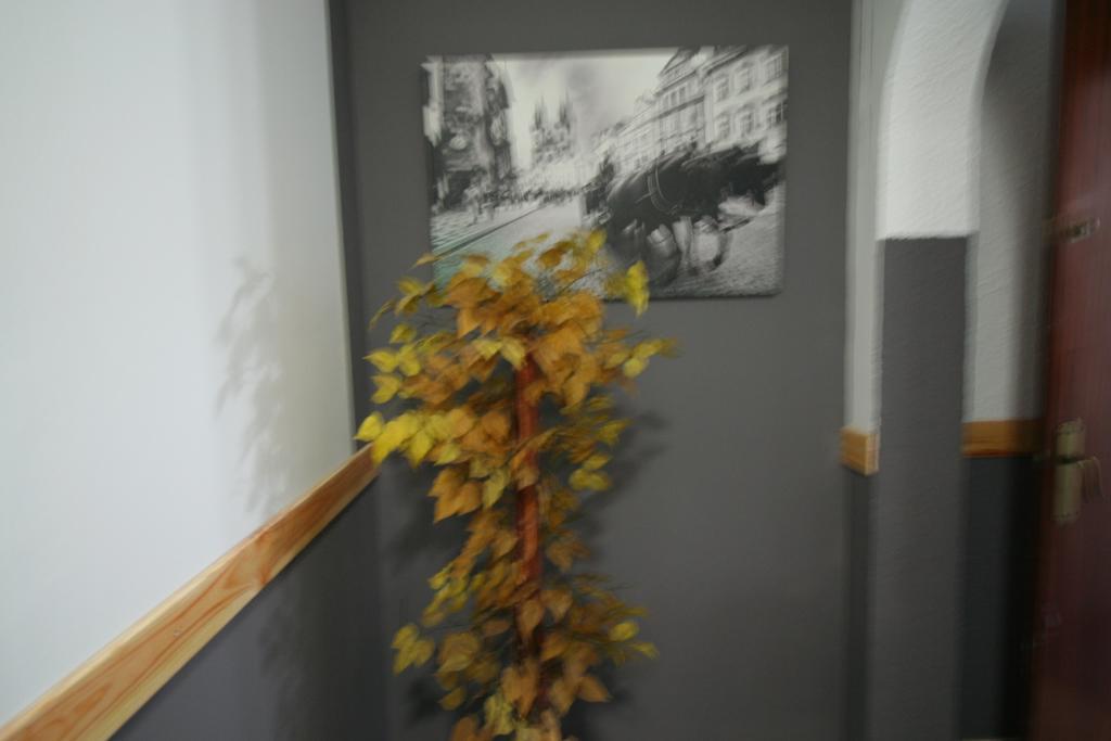 Hostal Restaurante Avenida De Madrid Terrassa Exteriör bild
